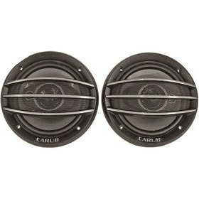 Resim Hoparlör 16 Cm 6 İnc 400w Kapaklı Br2749922 