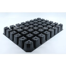 Resim 48 Göz Fidelik - Fide Viyolü - Fidelik - (10 Adet) 