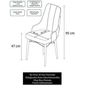 Resim Canisa Concept Neta Serisi, 1.sınıf Babyface Kumaş ,siyah Gürgen Ayak, 1 Adet Antrasit Mutfak Sandalyesi Sandalye Antrasit Ayaklar Siyah 