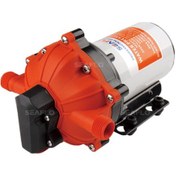 Resim Seaflo Hidrofor 18.9lt 12v 60 Psi 