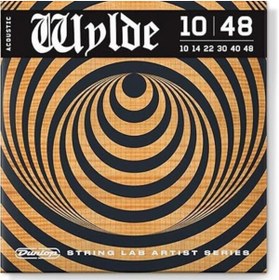 Resim AyrStore Zakk Wylde String Lab Akustik Gitar Teli (10 48) 
