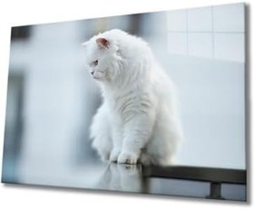 Resim Beyaz Kedi Cam Tablo 