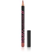 Resim LYKD Dudak Kalemi 104 Dusty Rose 