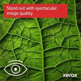 Resim Xerox C410DN A4 40PPM Renkli Çift Taraflı Yazıcı 