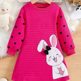 Resim Kızlar için sevimli tavşan baskılı üç boyutlu fiyonklu yuvarlak yaka uzun kollu yabancı elbise, günlük giyim, rahat dış mekan, alışveriş, parti, ziyafet, Sevgililer Günü, Paskalya, ilkbahar ve yaz için uygun 