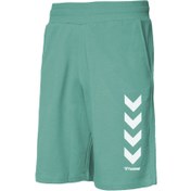 Resim hummel Hmlkens Shorts Yeşil Erkek Şort 931152-6110 