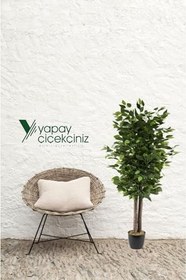 Resim YAPAY ÇİÇEKÇİNİZ Siyah Saksıda Yoğun Yapraklı 100 Cm Benjamin Ağacı 