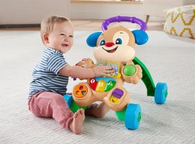 Resim Fisher-Price Eğitici Köpekçik Yürüteç (Türkçe) FTG10 