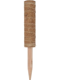 Resim Suntek Saksı Bitkileri Için Moss Totem Direk Bitki Uzatma 