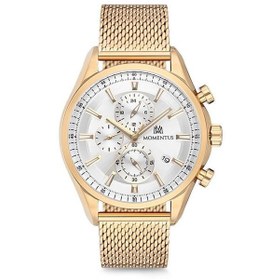 Resim Momentus CC246G-02SG Erkek Kol Saati 