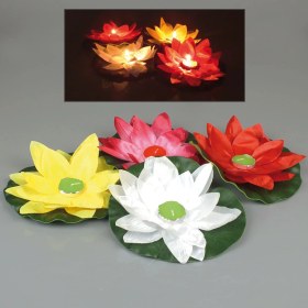 Resim Mevafa Nilüfer Su Çiçeği Su Feneri 