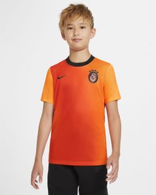 Resim Nike Galatasaray 2020/2021 Çocuk Alternatif Futbol Forması 