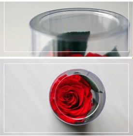 Resim Vkemall Uzun Boy Pembe Ebedi Gül, Ev Dekorasyonu İçin Romantik Hediyelik Kutulu Saçma Gerçek Gül 