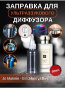 Resim Aromainstinct Blackberry & Bay Ultrasonik Difüzör Sıvısı 310604801 