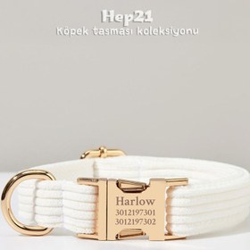 Resim Dog Collar Named White Beige Velvet Collar 776032 - Leash + Bow Tie + Leash Rope / L 