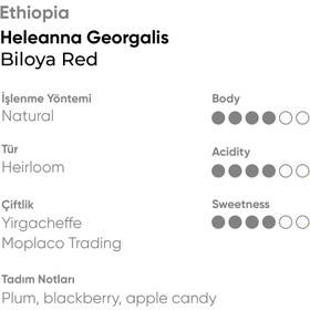 Resim Ethiopia Heleanna Georgalis Biloya Red - 1kg / Çekirdek 