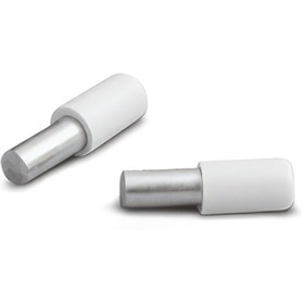 Resim Taşkın Aksesuar Metal Başlı Raf Pimi Plastik Uçlu Beyaz 5mm (100 Adet) Mobilya Dolap Vitrin Tutucu 