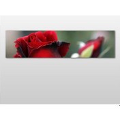 Resim Kırmızı Gül Kanvas Tablo 210x70cm 