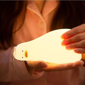 Resim Yatan Ördek Tasarımlı Gece Lambası Renkli 