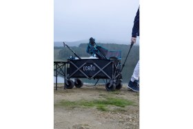 Resim Ecrou Masalı Katlanır Vagon Taşıma Arabası Siyah 