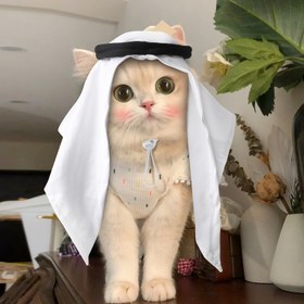 Resim 1 adet Pet Şapka Başörtüsü Parti Dekorasyonu Eğlenceli Kostüm Parti Rol Oynama Toplanma Fotoğraf Sevimli Kedi Şapka Pet Aksesuarları Orta Boy Kediler, Küçük Tavşanlar ve Küçük Köpekler İçin Uygun 14.97KG Üstü İçin Uygun Değil 