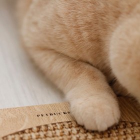 Resim Genel Markalar Doğal Sisal Kedi Tırmalama Matı Kedi Tırmalama Tahtası Kedi Otu Catnip Içerikli 
