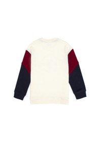 Resim U.s. Polo Assn. Erkek Çocuk Sweatshirt 50316626-vr256 İnci 
