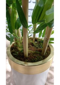 Resim 120 Cm Darbuka Saksıda Bambu 6 Dal Yeşil 