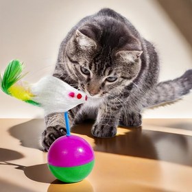 Resim Köpekler ve Yuvarlanan Tasarımlı Gerçekçi Kedi Oyuncakları - Gerçekçi Polyester Tüy Kuyruk, Küçük Kedi Irkları ve Spor Oyunları İçin Uygun, Pil Gerektirmez, Dayanıklı Plastik Yapı 