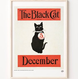 Resim Kara Kedi Aralık, Poster 