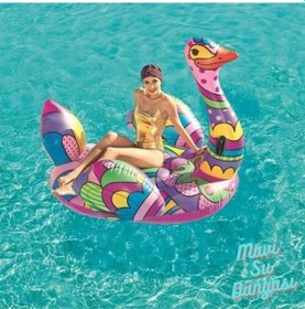 Resim Renkli Ördek Binici Tutmalı 190 X 166 Cm 