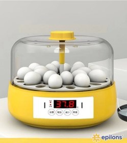 Resim Mini Otomatik Ev Tipi Kuluçka: Papağan Bıldırcın Kuluçka Makinesi 18li Yumurtalı Mx-18 