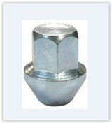 Resim Ayhan A15125 Bıjon Somunu Transit Connect Sabıt Pullu 