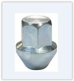 Resim Ayhan A15125 Bıjon Somunu Transit Connect Sabıt Pullu 