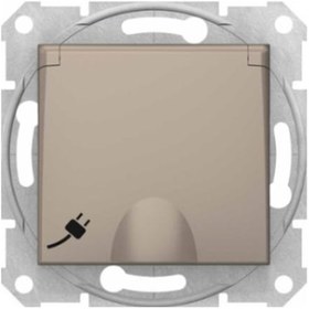 Resim Schneider Sedna Kapaklı Topraklı Priz Titanyum 