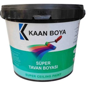 Resim Tavan Boyası 