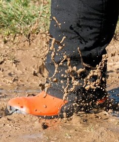 Resim Oregon Yukon güvenlik botu 