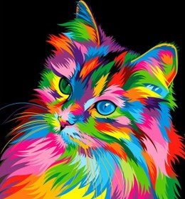 Resim Sayılarla Boyama Seti - Kedi - 60x75 