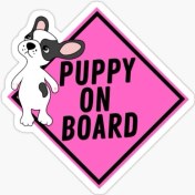 Resim TSC Arabada Puppy Köpek Var Araç Sticker Etiket 19CM MD11 