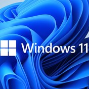 Resim MS Windows 11 Pro FQC-10556 64BIT TR (OEM) 