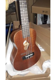 Resim Concert Boy Maun Ağacı Rabbit Ukulele-Kılıf-Pena 