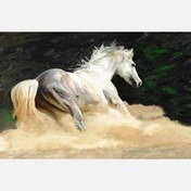 Resim Artist Kanvas Tablo 60x90 (AN-005) 