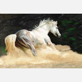 Resim Artist Kanvas Tablo 60x90 (AN-005) 