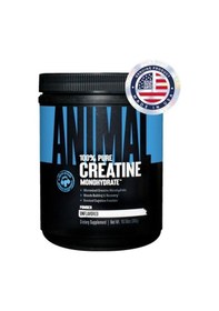 Resim Universal Animal Creatine Monohydrate 300gr 