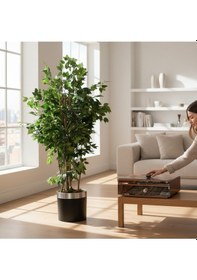 Resim Yapay Agaç 200 Cm Islak Doku Benjamin Darbuka Saksıda Yeşil 