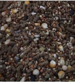 Resim Karışık Kemirgen Yemi Hamster Ginepik Tavşan Yemi 10 Kg 