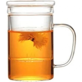 Resim Cam Kapaklı Demleme Süzgeçli 350 ml Isıya Dayanıklı Borosilikat Kupa 