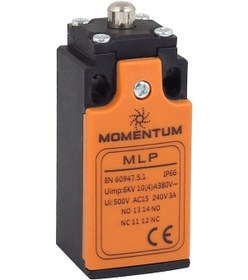 Resim Momentum Limit Switch Dikey Pim Kısa MLP-25110 
