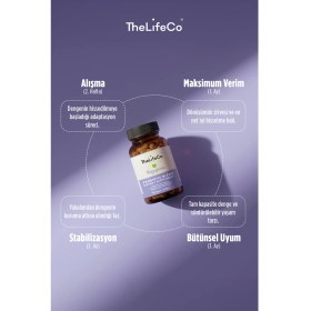 Resim TheLifeCo Happybiota Probiyotik 10 Milyar Mikroorganizma İçeren Gıda x 2 Adet 