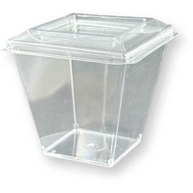 Resim Home 250 Adet Kapaklı Magnolya Kabı 200 cc Kübik Prizma Mika Plastik Kase – Tatlı/Meze/Salata Sunum Kabı 